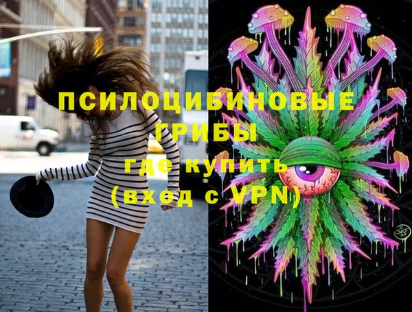 apvp Володарск